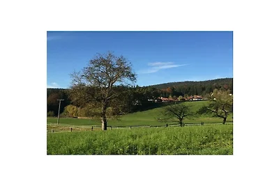 Vista sul bosco Hauzenberg Residenza di vacan...