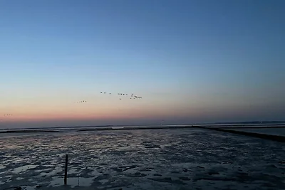 Reihenhaus, Dornumersiel