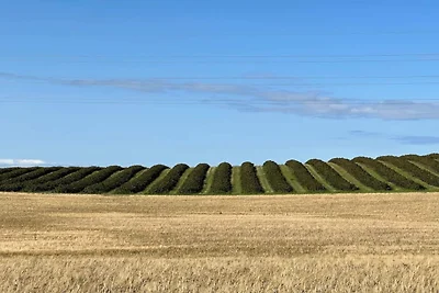 Meeresruhe in Yderby Lyng-By Traum