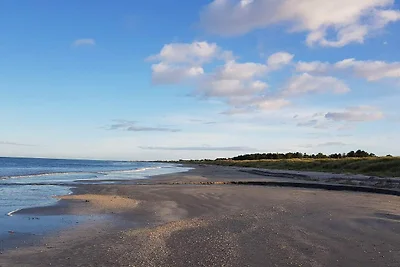 9 Personen Ferienhaus in Jerup-By Traum