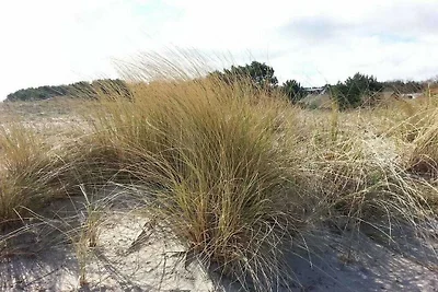 Stranddüne 19 am Strand