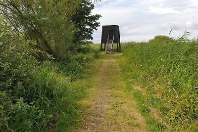 Ruhiger Hüttenurlaub in Ebeltoft