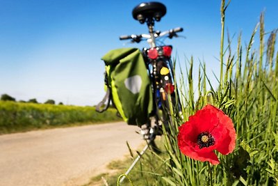 4 sterren vakantie huis in HÅVERUD