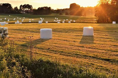 8 Personen Ferienhaus in VETLANDA