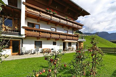 Appartement in Hippach im Zillertal met een...