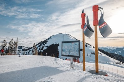 Gemütliche Wohnung an der Skipiste