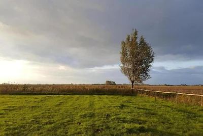 Vakantiehuis aan het water met visvlonder