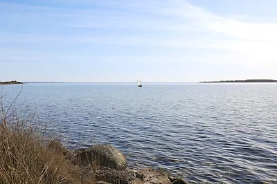 Felicidad junto al mar en Dyreborg-By Traum