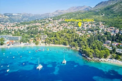 Apartments Grljević - Studio Apartment with S...