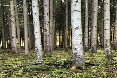 Charmanter Aufenthalt in Viroinval