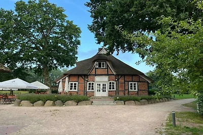 Prinzeninsel Plön