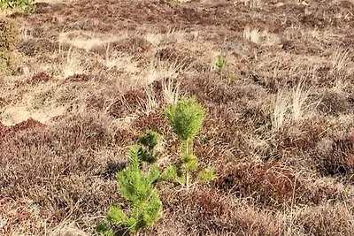 4 Sterne Ferienhaus in Højby