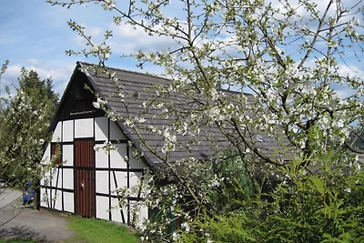 Appartamento tranquillo nel Sauerland con...