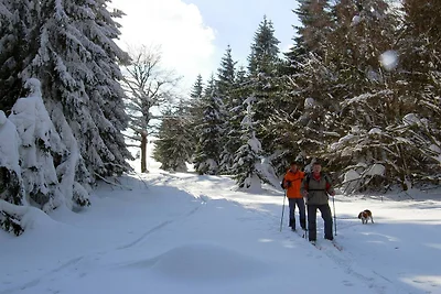 Ferienhaus in Božanov bei Broumovské Steny