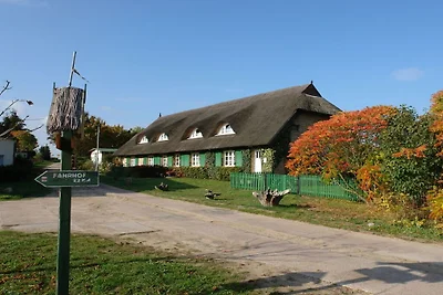 Vakantieappartement met 1 slaapkamer