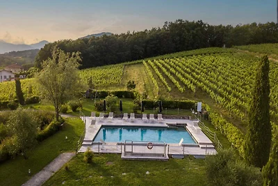 Cascina a Lucca con piscina e vigneti