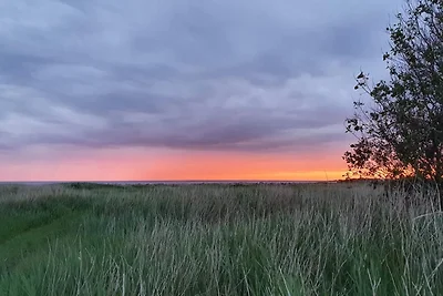 2 Personen Ferienhaus in FALKENBERG-By Traum