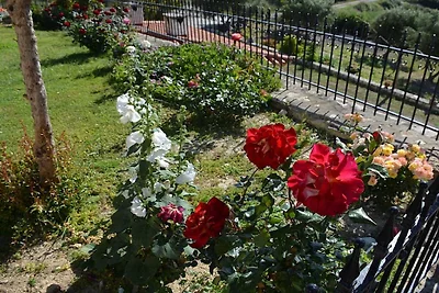 Kuća za odmor Dopust za oporavak 