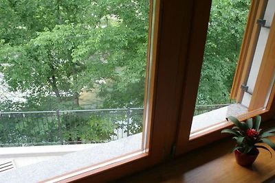Riverside Rustic Ridge Apartments with Balcon...