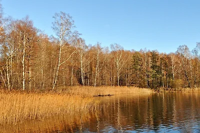4 Personen Ferienhaus auf Ulfborg-By Traum