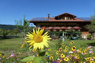Ferienwohnung mit 1 Schlafzimmer