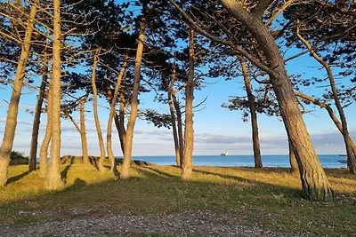 6 Personen Ferienhaus in Knebel