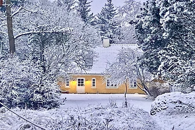 5 Sterne Ferienhaus in Ålbæk