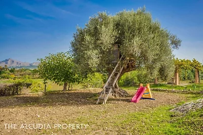 FINCA "PEGASUS"