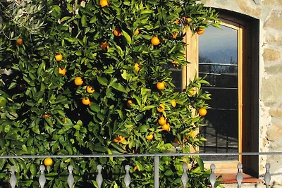 Appartements Villa Morosi, Lamporecchio