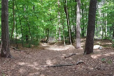 6 persoons vakantie huis in Oksbøl-By Traum