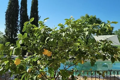 Fornace del Conte - Molino