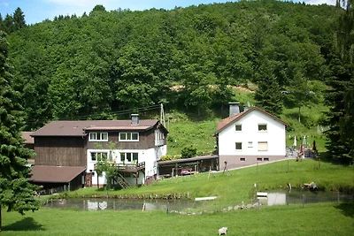 Apartment in Bruchhausen mit Terrasse