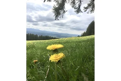 Vue sur le jardin Gerberhof