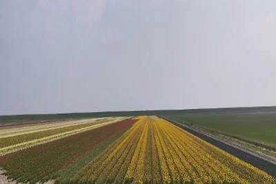 Casa vacanze indipendente situata a Texel