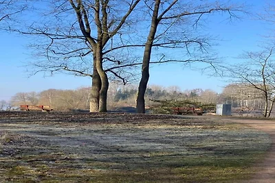 In de regio (zomer) (>5 km) In de regio (zomer) (>5 km)