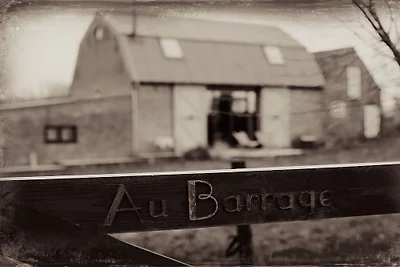 Vakantiehuis in Oostburg met barbecue