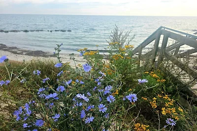 Gemutliches Refugium mit Sauna -- By Traum...