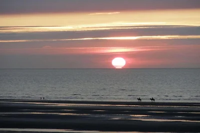 Appartement aan zee in Oostenrijk met duinen