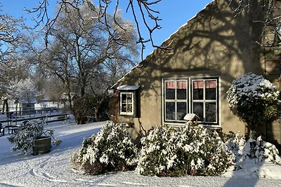 Ferienhaus in Bergen op Zoom mit Garten