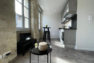 Bel Appartement Clim Et Pierre Bordelaise