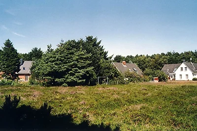 "Lindisfarne" im "Rosenhaus"