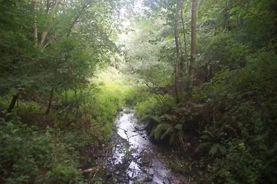 6 persoons vakantie huis in Brovst