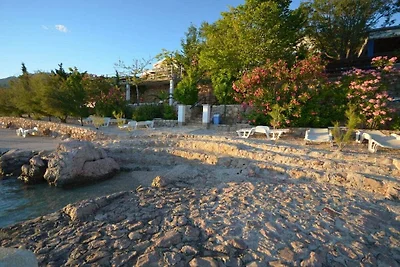 Adria Paradies by Marinko