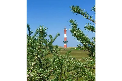 Lagune am Wattenmeer auf Wangerooge