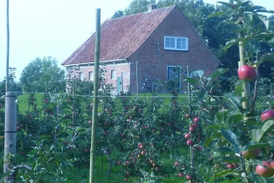 Ferienhaus mit 1 Schlafzimmer