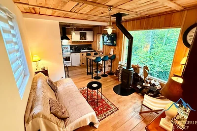 Haus in Mont-Dore mit Skibus und Fluss