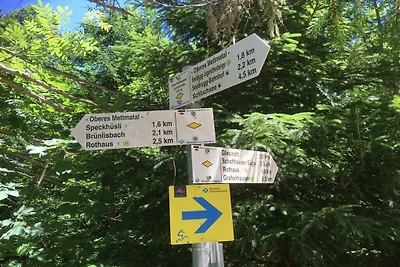 Ferienhaus Erholungsurlaub Freiburg