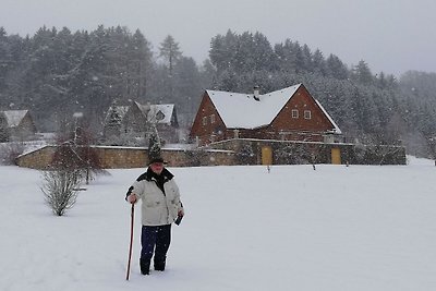 Gemütliche Villa in Stupna mit privatem...