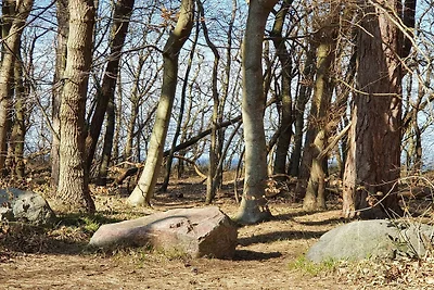 5 persoons vakantie huis in Vig