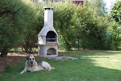 Skandinavisches Ferienhaus in Mirow